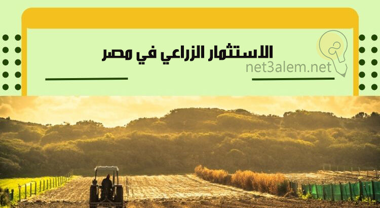 عرض مش هيتكرر 15فدان كاملة الخدمات