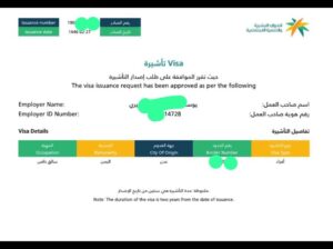 خدمات تاشيرات فردية من مساند