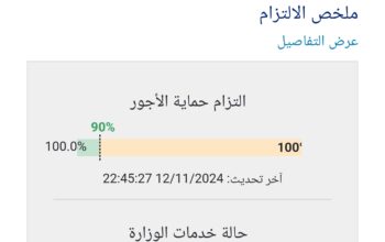 خدمات حماية الاجور