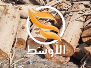 حطب المشـاوي والتدفئـة للتصدير