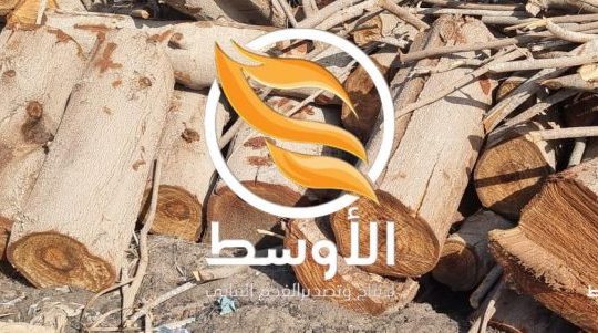 حطب المشـاوي والتدفئـة للتصدير