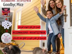 وداعًا للفئران .احصل على مجموعة طرد الفئران