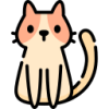 category