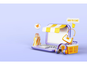 Professional E-Commerce Store Developmen