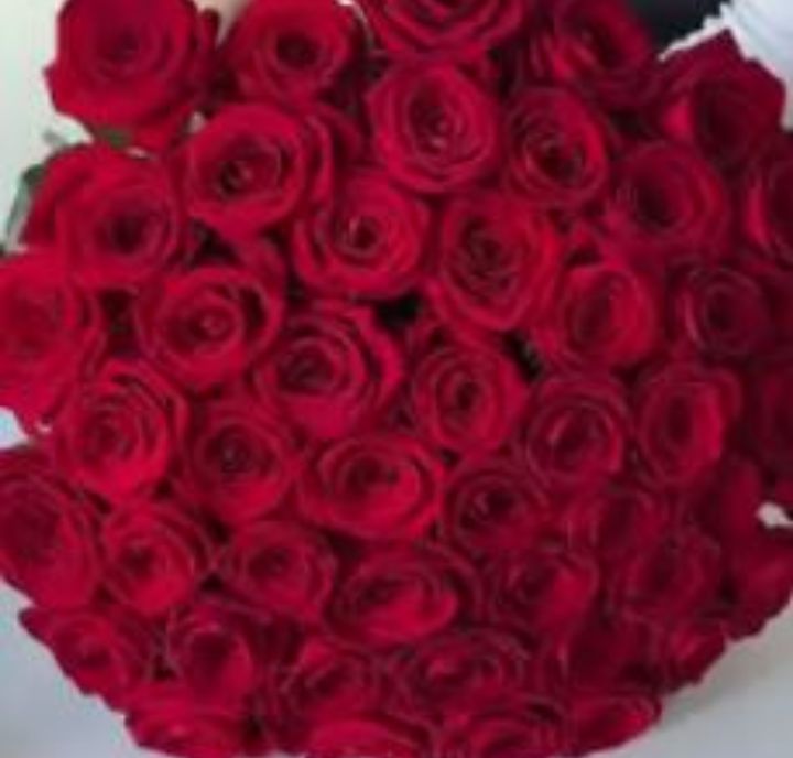 صورة الملف الشخصي