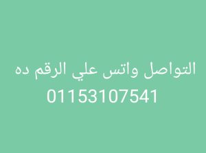 عمال انتاج لمصنع اللحوم