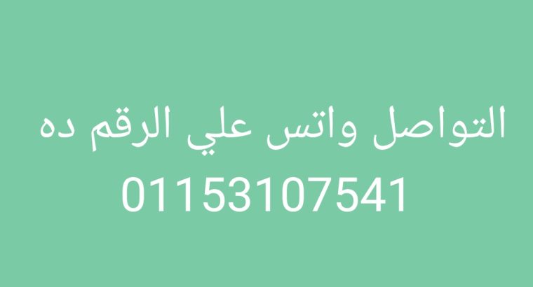 عمال انتاج لمصنع اللحوم
