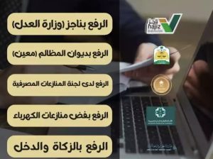خدمات ناجز وديوان المظالم واللجان