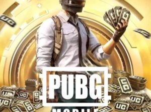 شحن شدات ببجي عن طريق شام كاش