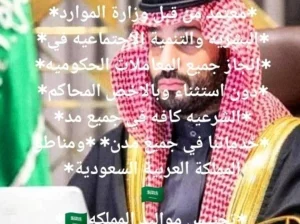 خدمات التعقيب والإجراءات الحكومية؟
“خدمات تعق