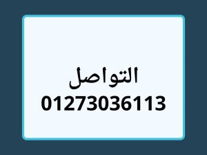 عمل للشباب