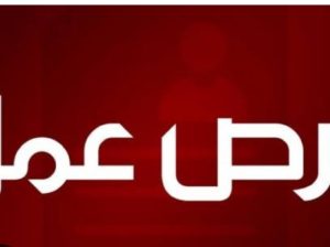 عمال انتاج لمصنع اندومى