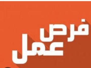 افراد امن