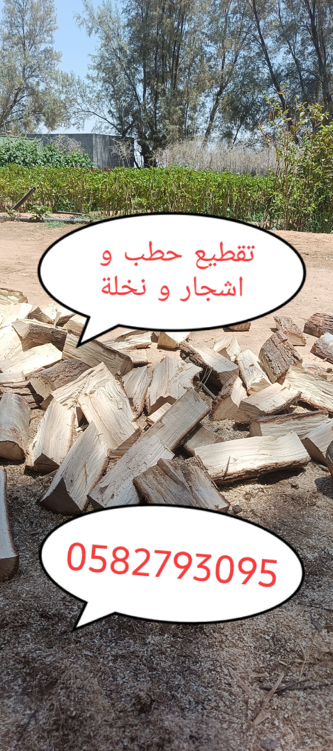 صورة الملف الشخصي