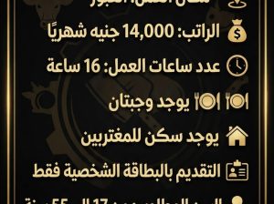 فرصة عمل