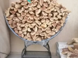 عامل تقطيع الحطب قص اشجار قصص النخيل