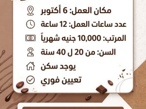 فرصة شغل في مصنع شوكولاتة – 6 اكتوبر